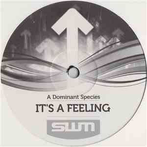 A Dominant Species - It's A Feeling download free