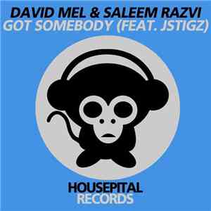 David Mel & Saleem Razvi Feat. JStigz - Got Somebody download free
