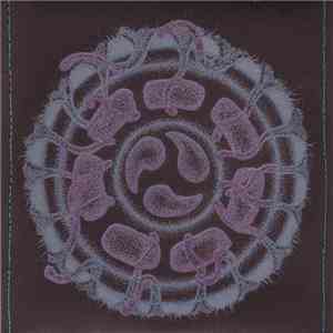 Evan Marc + Steve Hillage - Dreamtime Submersible download free