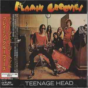 Flamin Groovies - Teenage Head download free