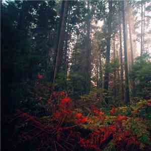 North Takoda - Rainy Day EP download free