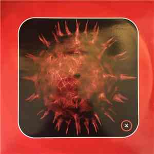 Rainer - Nod To N2O download free