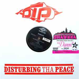 Shawnna - Damn download free
