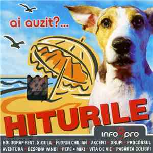 Various - Ai Auzit?... Hiturile Infopro download free