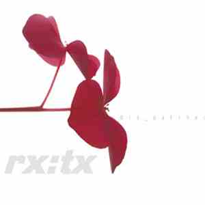 Various - Dis-Patched (Live Recordings From Belgrade's Dis-Patch Festival 2002-2004) download free